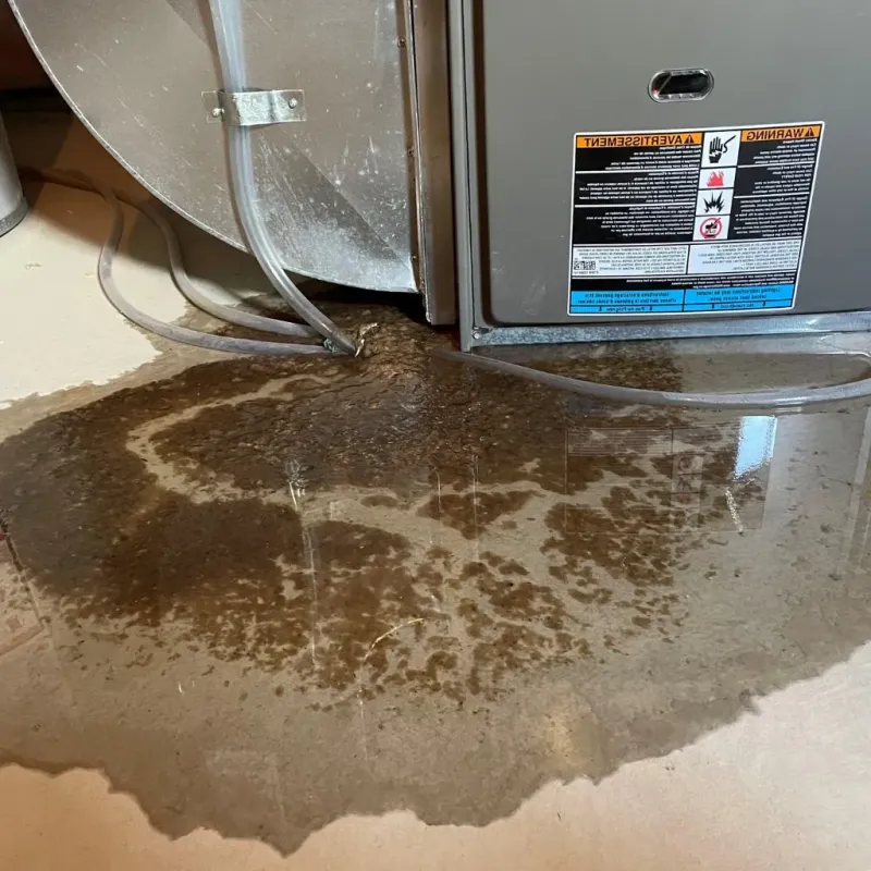 Pipe Burst and Leak Restoration in Lockhart, TX