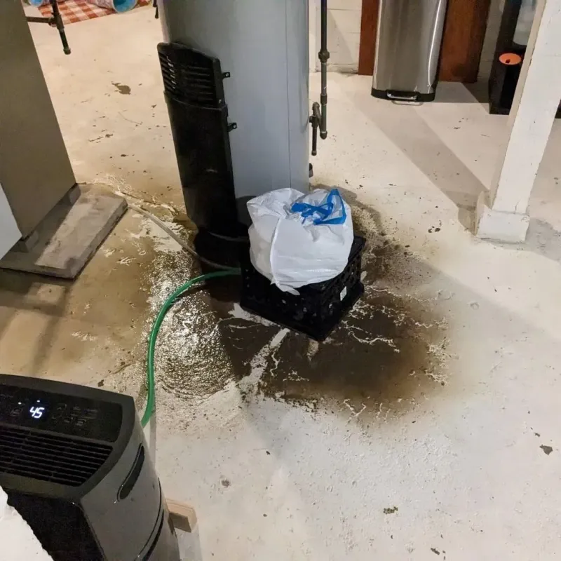 Sewage Backup Cleanup Service in Lockhart, TX